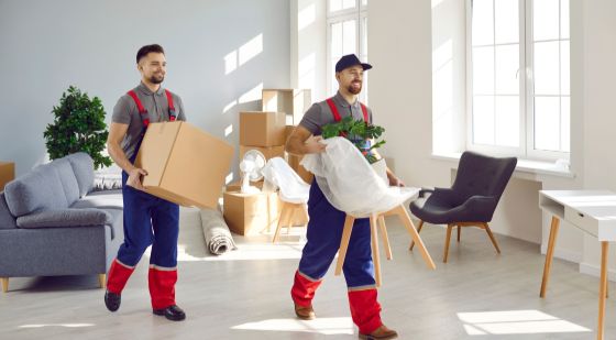 Insured Movers and Packers