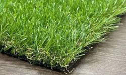 Landscape Turf