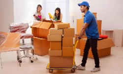 Domestic Movers