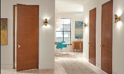 Flush Doors
