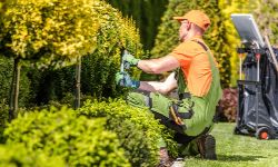 Landscaping Handyman