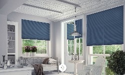 Pleated Blinds